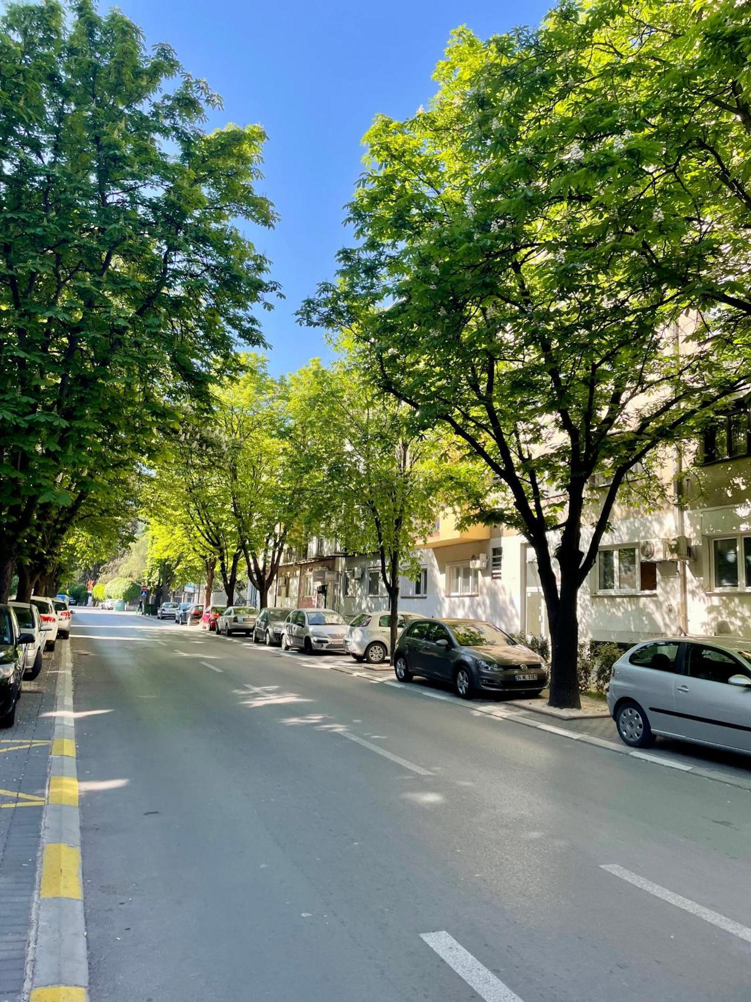 Luxury City Center Apartment Skopje Luaran gambar